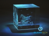 3D horses in glass cube 60 mm