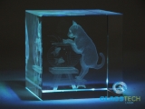 3D cat in glass cube 60 mm