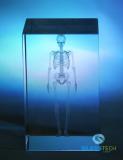 3D SKELETON - glass cube 50x50x80 mm